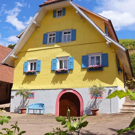 Winzerhof Maennle Daire Oberkirch  Dış mekan fotoğraf