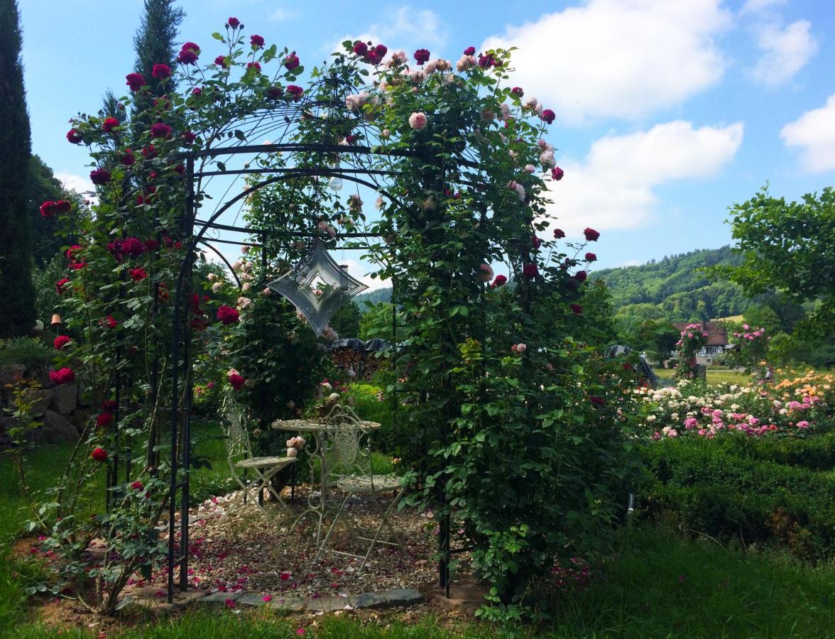Winzerhof Maennle Daire Oberkirch  Dış mekan fotoğraf