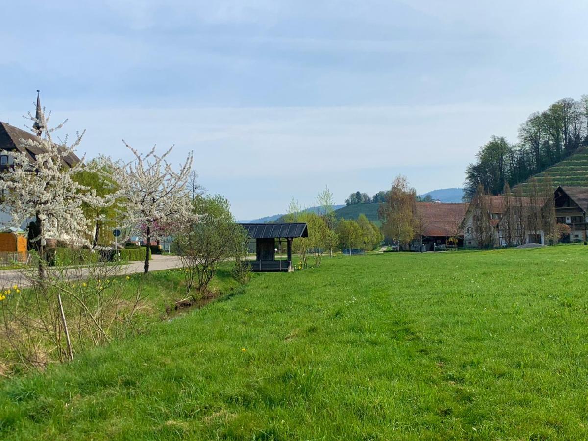 Winzerhof Maennle Daire Oberkirch  Dış mekan fotoğraf