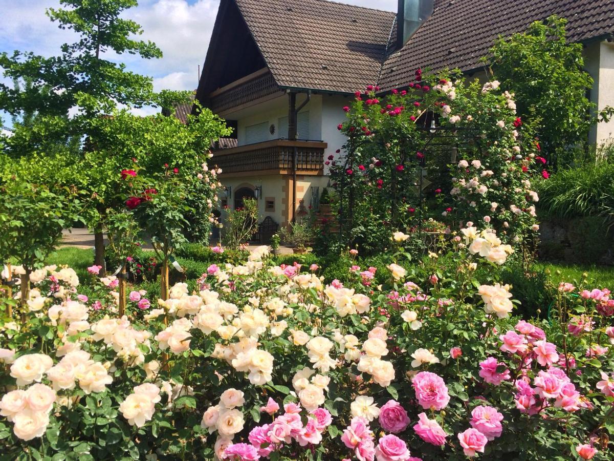 Winzerhof Maennle Daire Oberkirch  Dış mekan fotoğraf