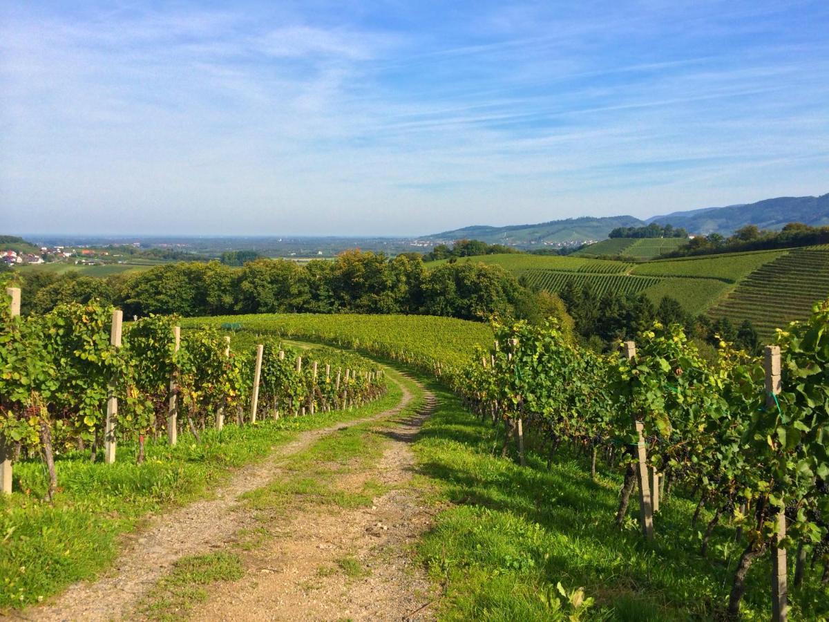 Winzerhof Maennle Daire Oberkirch  Dış mekan fotoğraf