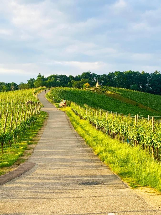 Winzerhof Maennle Daire Oberkirch  Dış mekan fotoğraf