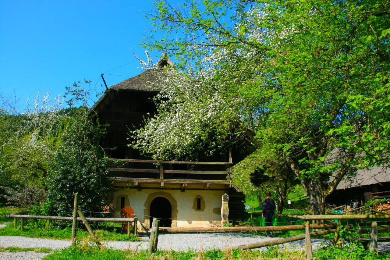 Winzerhof Maennle Daire Oberkirch  Dış mekan fotoğraf