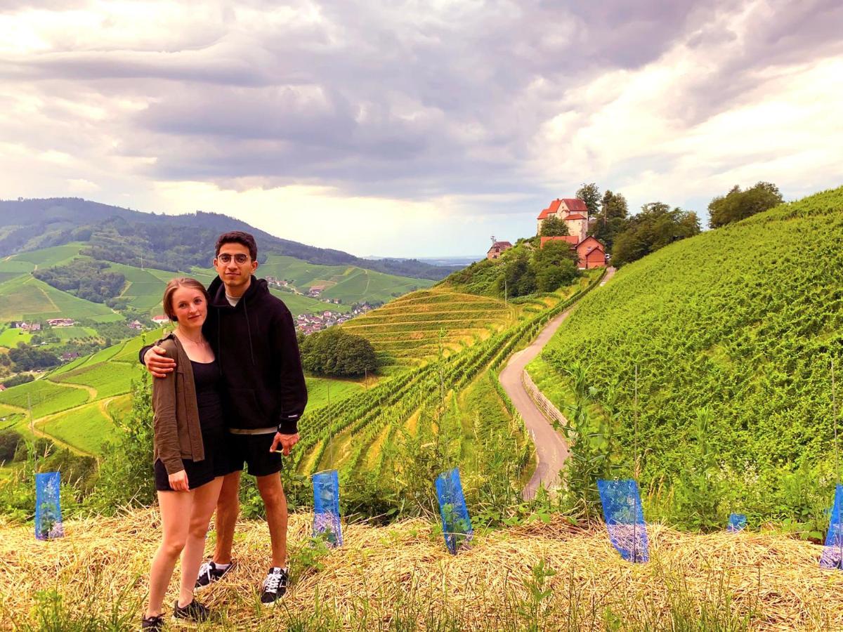 Winzerhof Maennle Daire Oberkirch  Dış mekan fotoğraf