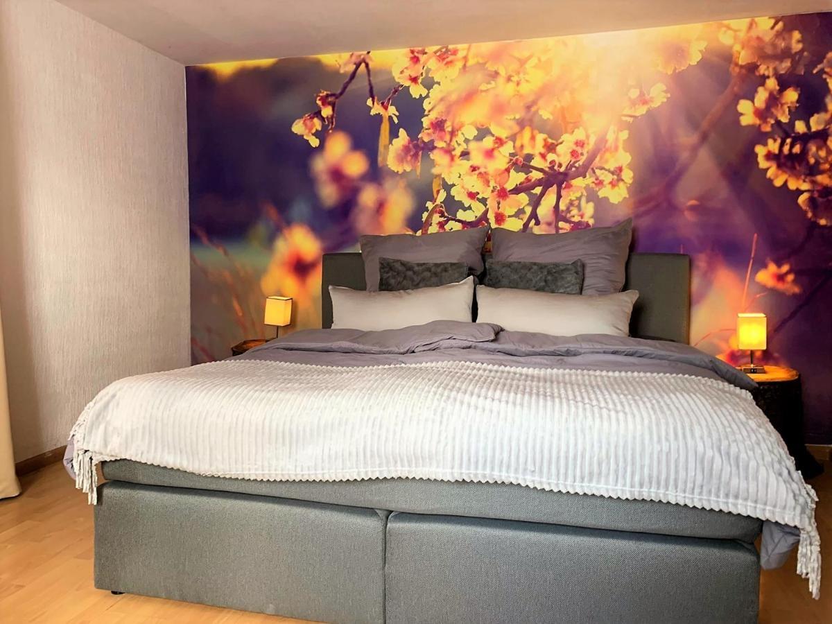 Winzerhof Maennle Daire Oberkirch  Dış mekan fotoğraf