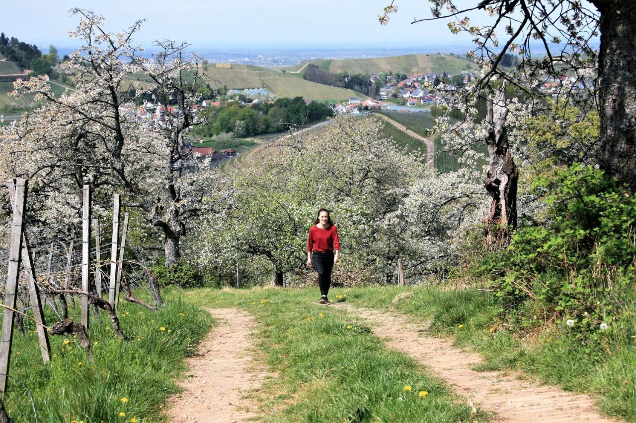 Winzerhof Maennle Daire Oberkirch  Dış mekan fotoğraf