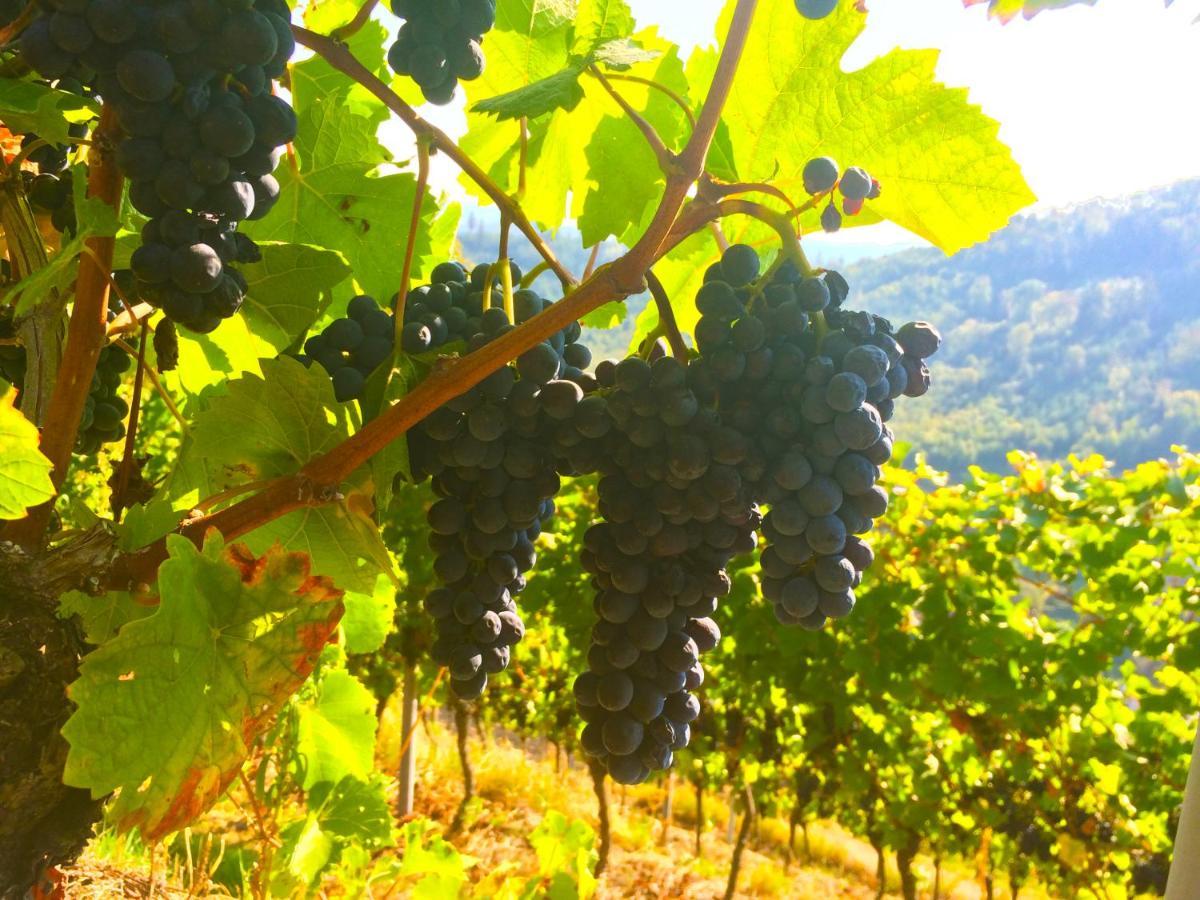 Winzerhof Maennle Daire Oberkirch  Dış mekan fotoğraf