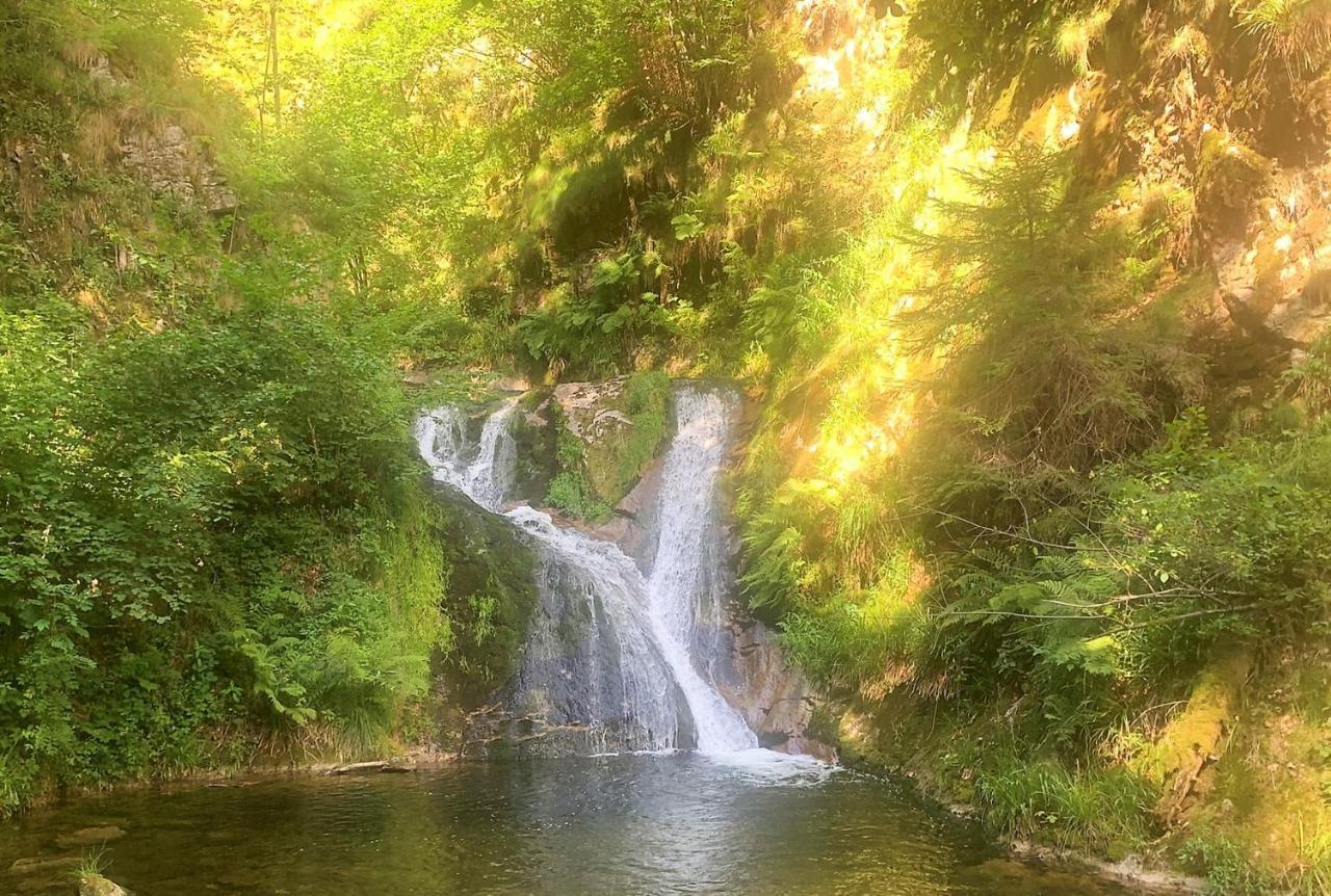 Winzerhof Maennle Daire Oberkirch  Dış mekan fotoğraf