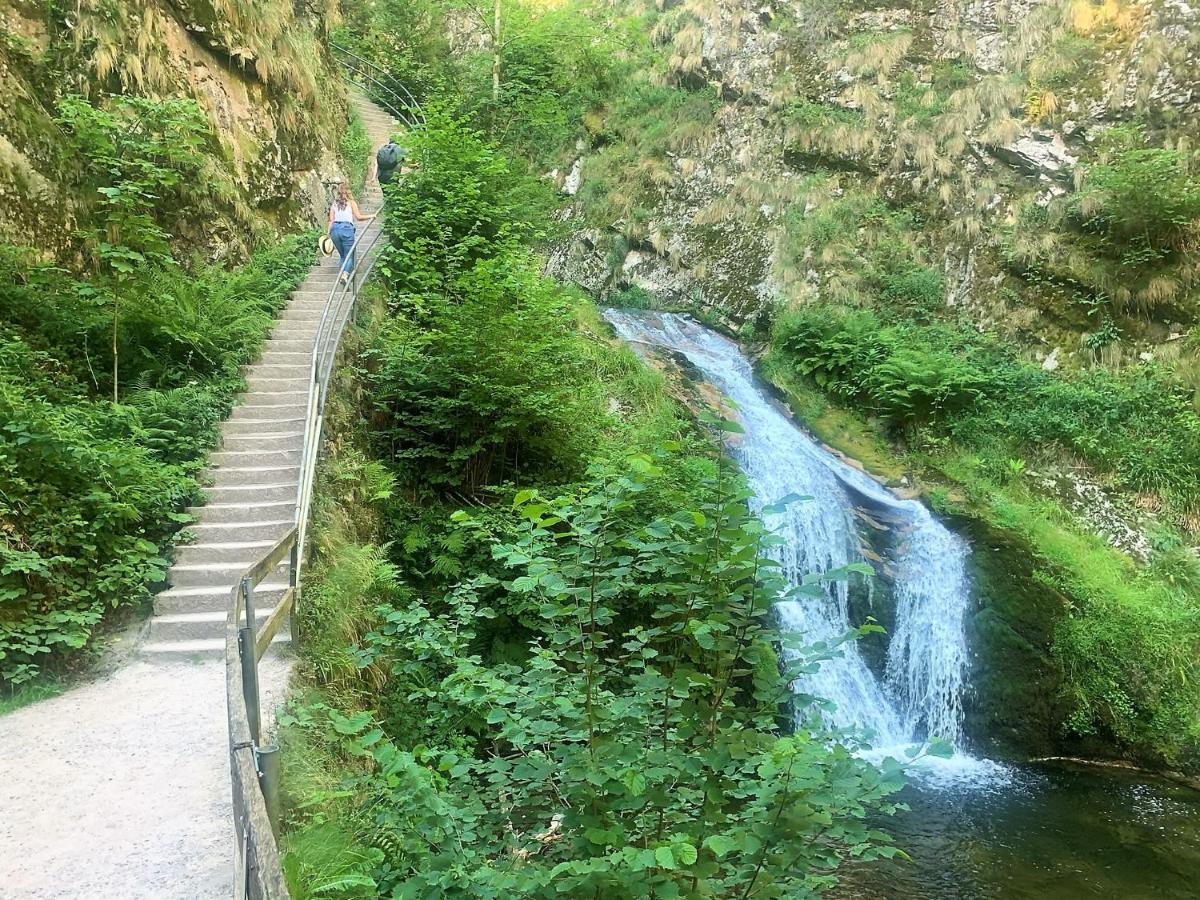 Winzerhof Maennle Daire Oberkirch  Dış mekan fotoğraf