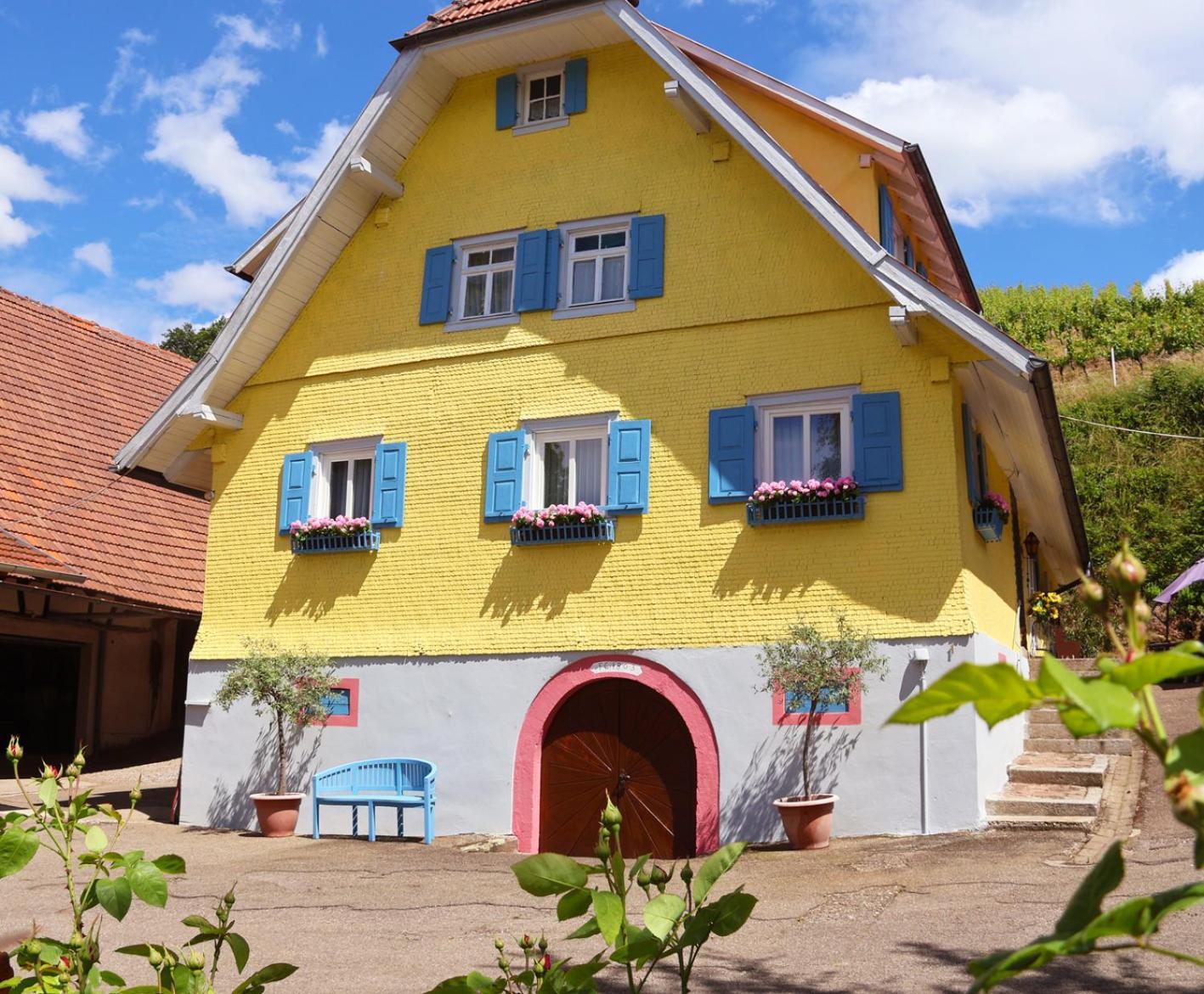 Winzerhof Maennle Daire Oberkirch  Dış mekan fotoğraf