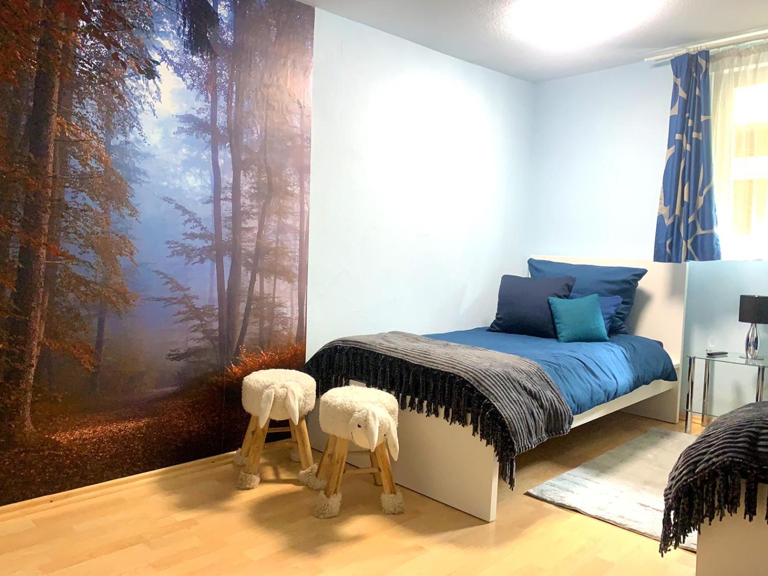Winzerhof Maennle Daire Oberkirch  Dış mekan fotoğraf