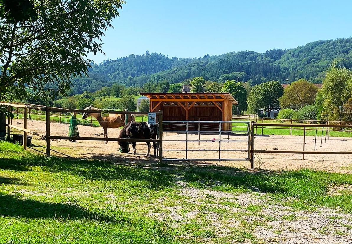 Winzerhof Maennle Daire Oberkirch  Dış mekan fotoğraf